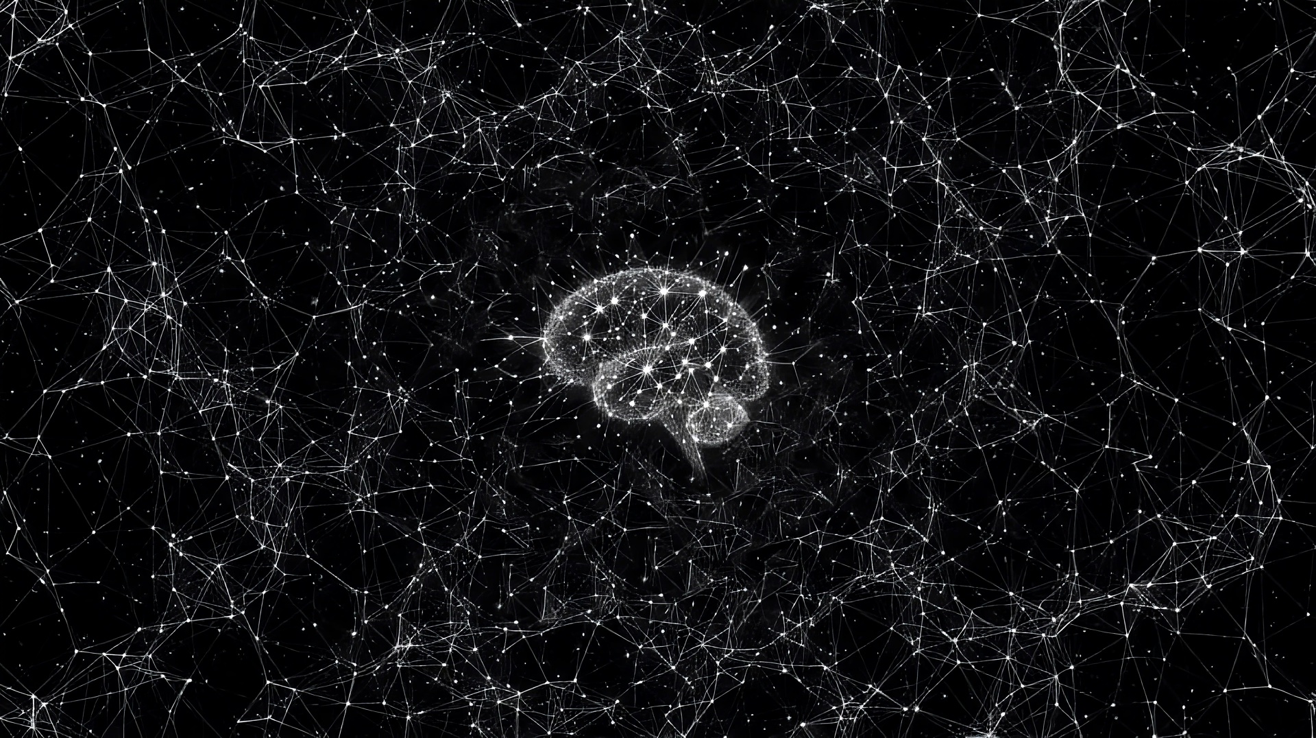 Brain network